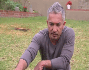 전문가의 개 다루는 방법.gif | 인스티즈