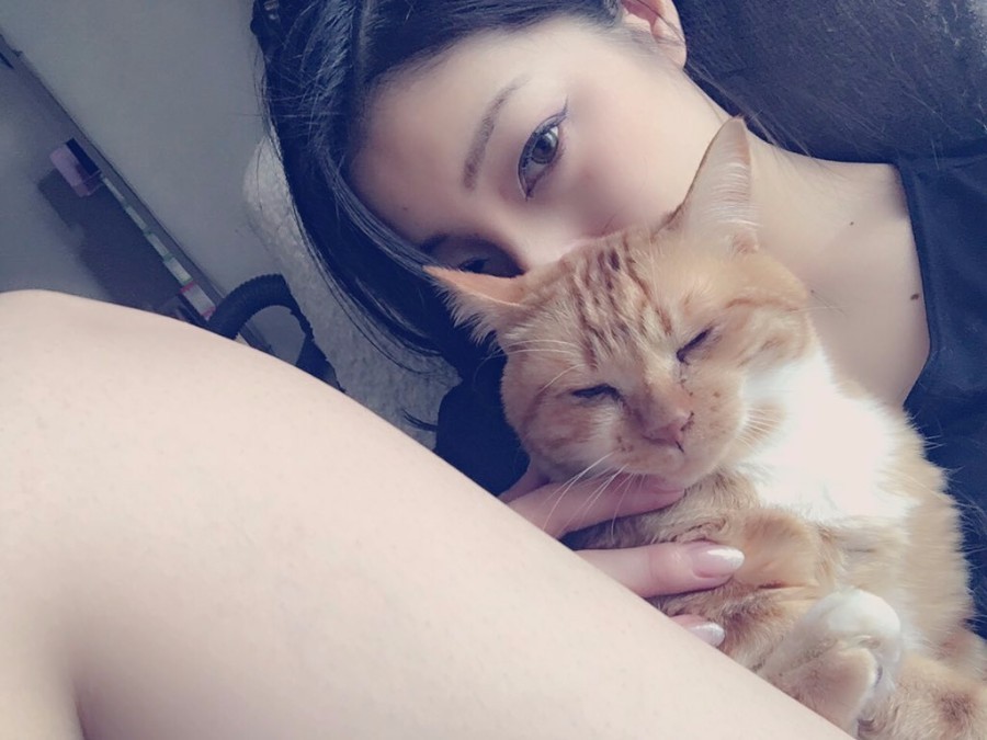 고양이가 부럽 .... | 인스티즈