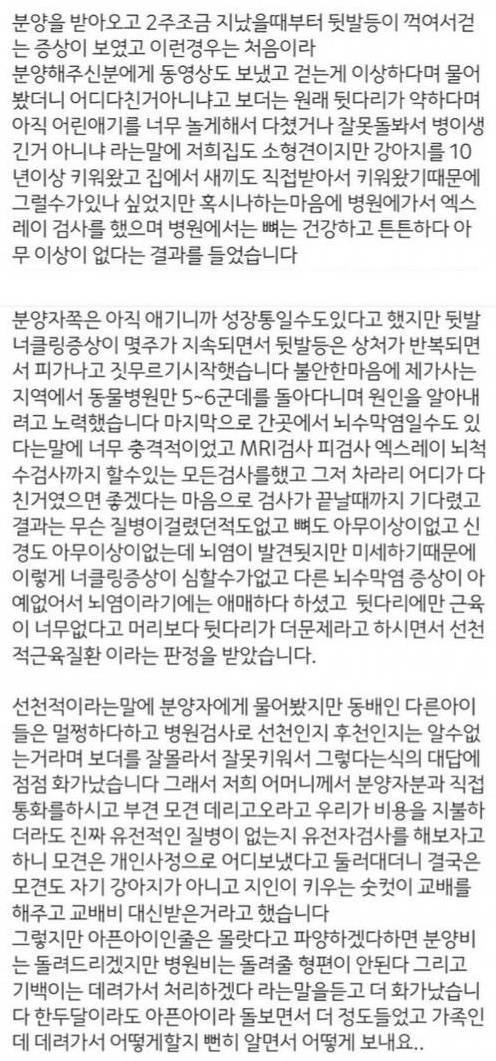 김희철 보더콜리 입양 사건 정리 | 인스티즈