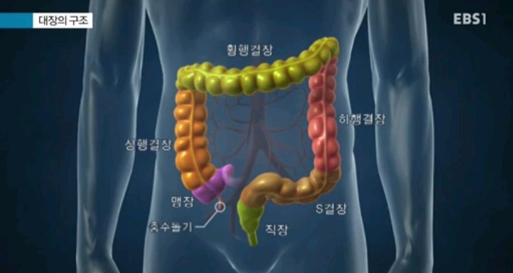 치질인 줄 알았더니 대장암.jpg | 인스티즈