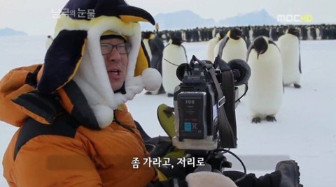 짱귀탱인 남극의 눈물 촬영 당시 펭귄들.gif | 인스티즈