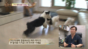 누가 봐도 사자임 아무튼 사자임.gif | 인스티즈