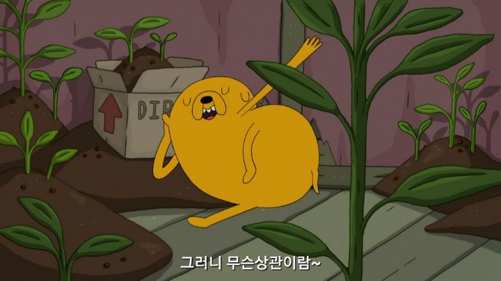 핀과 제이크의 어드벤처 타임 짤 모음 | 인스티즈