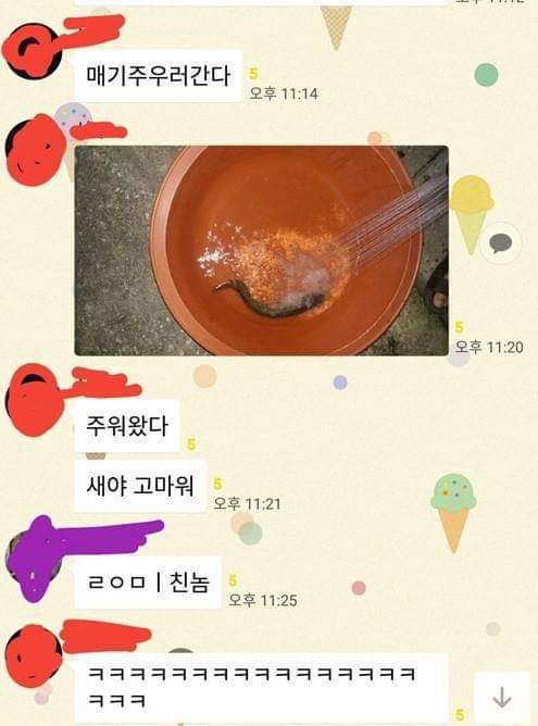 매운탕 공짜로 먹는 방법 | 인스티즈