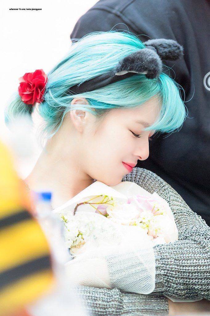 트와이스 팬들 사이에서도 난제라는 민트정연 vs 벚꽃정연 | 인스티즈