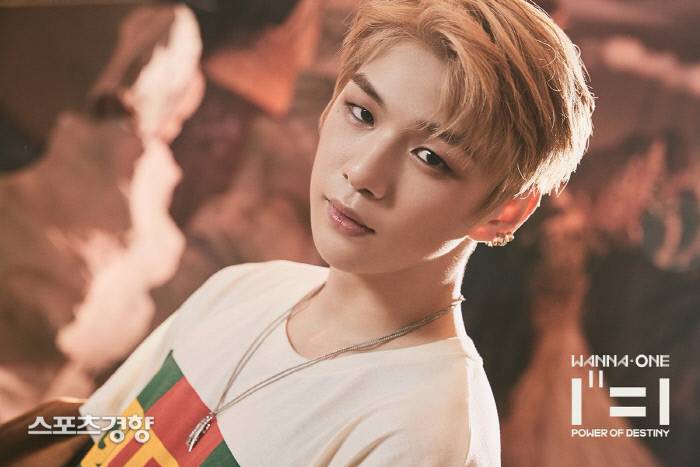 강다니엘, 부산의 얼굴로 나선다…"태어나고 자라온 곳” | 인스티즈