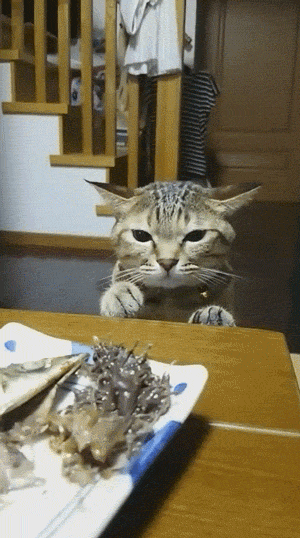 이성과 본능 | 인스티즈