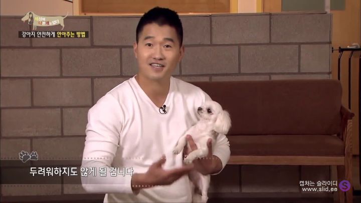 강아지를 안전하게 안아주는 법(feat. 강형욱) | 인스티즈