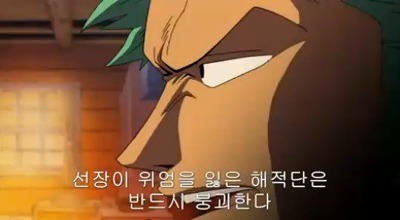 [원피스] 루피가 가장 신뢰하는 동료.jpg | 인스티즈