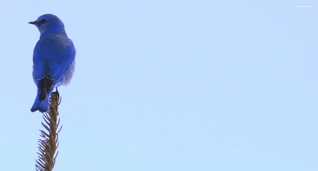 봄이 오면 볼 수 있는 모습 | 인스티즈