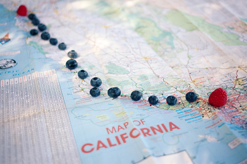  아름 다운 시를 보면 그걸 닮은 삶 하나 낳고 싶었다 | 인스티즈