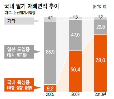 국내 딸기 품종"설향” 이야기...jpg | 인스티즈