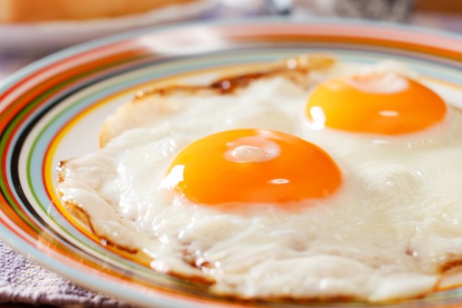계란부친음식 전자 vs 후자 | 인스티즈