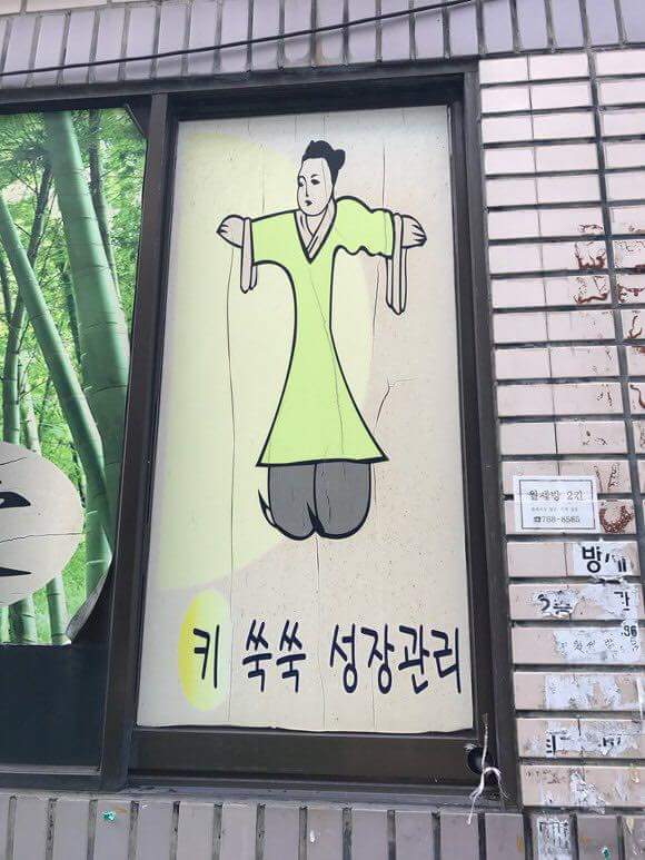 유쾌한 대한민국 사진들...jpg | 인스티즈