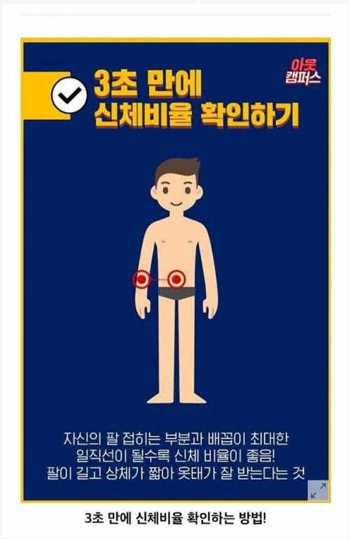 3초만에 내 신체비율이 좋은지 아는 방법 | 인스티즈