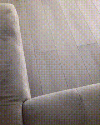 댕댕이 피지컬 최강류 | 인스티즈