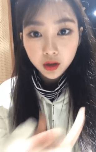 190301 오마이걸 지호 - 불꽃놀이One K 콘서트 + 190302 비밀정원 스압주의 | 인스티즈