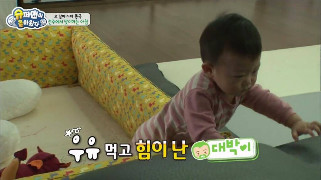 대박이의 처음이자 마지막 말썽 | 인스티즈