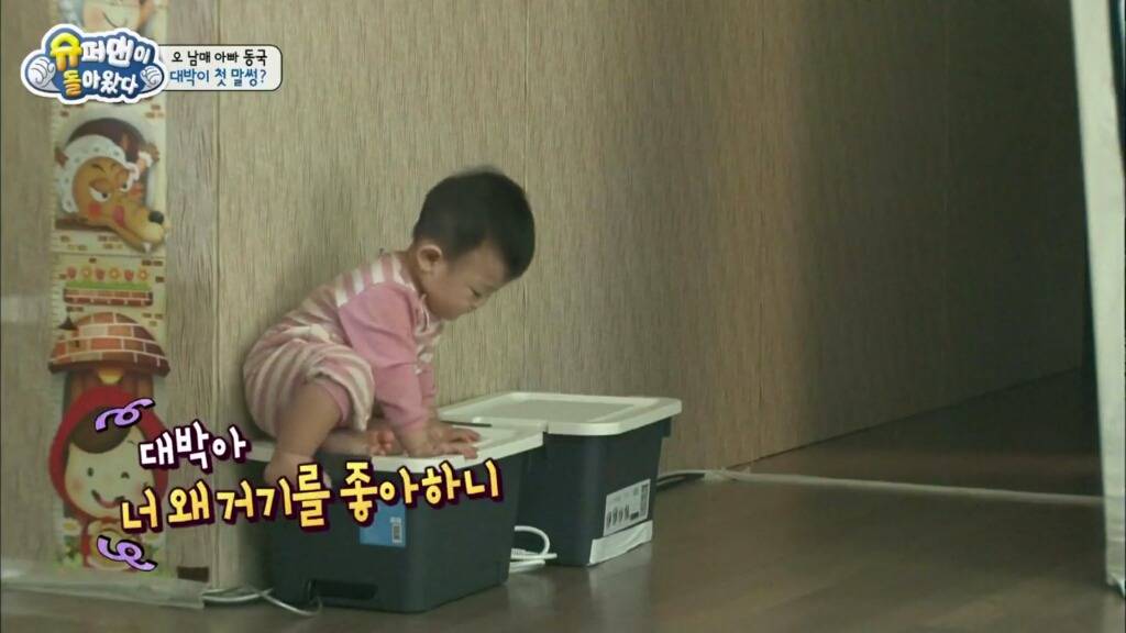 대박이의 처음이자 마지막 말썽 | 인스티즈