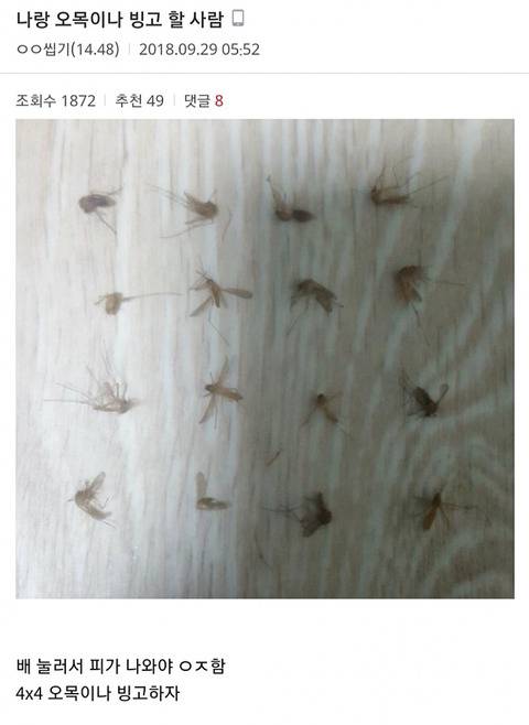 모기 새끼 다양하게 고문하는 모기 갤러리.gif | 인스티즈