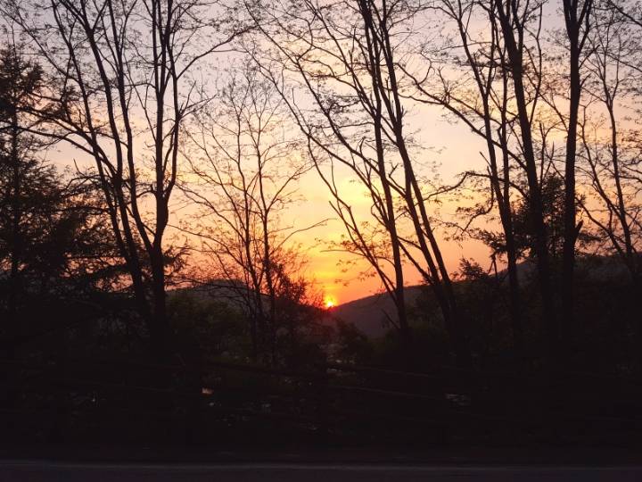 여자친구가 죽었는데 안우는 저 욕해주세요 | 인스티즈