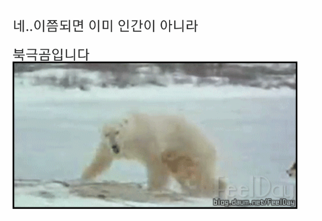 맹견을 가볍게 보시는 분들에게....gif | 인스티즈