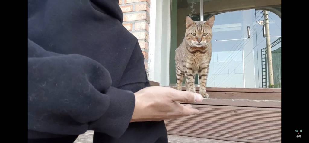 간식 먹기 전이랑 후가 너무 다른 고양이.. 냥성ㄷㄷㄷ | 인스티즈