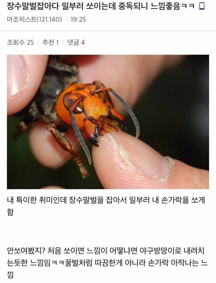 만독불침 수행하는 디시인ㄷㄷ | 인스티즈