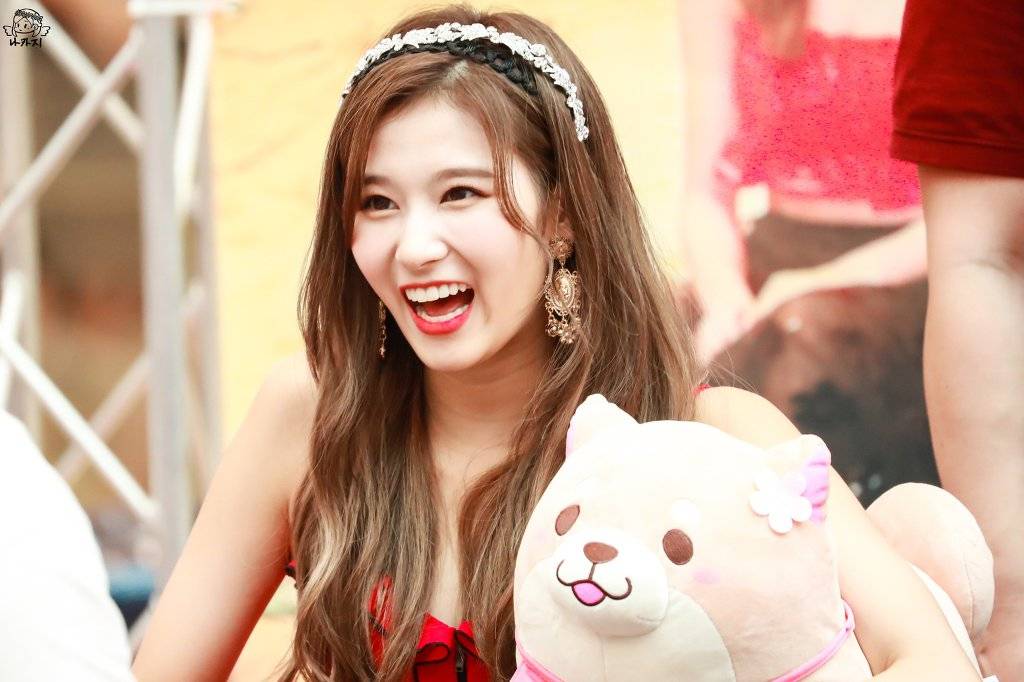 사나 안고 있는 시바견 | 인스티즈