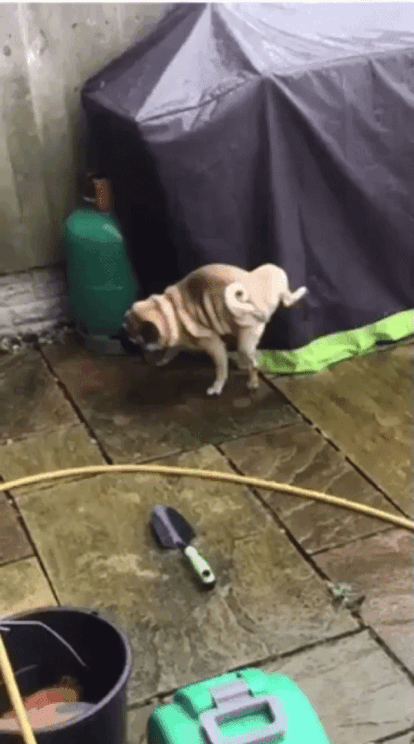 180도 회전 오줌싸기 | 인스티즈