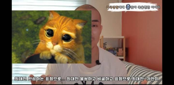 미국경찰에게 총맞지 않는 방법 jpg | 인스티즈