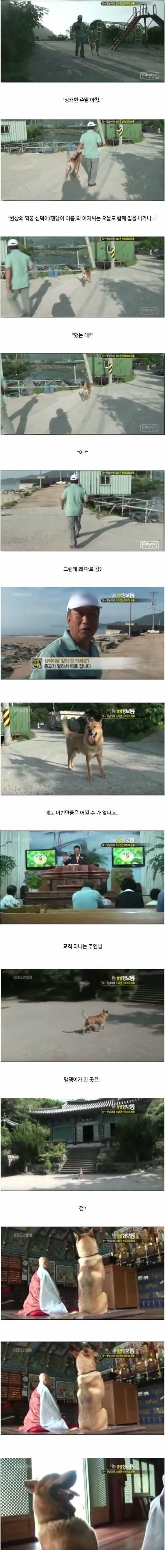 반려견의 종교자유를 지켜주는주인.jpg | 인스티즈