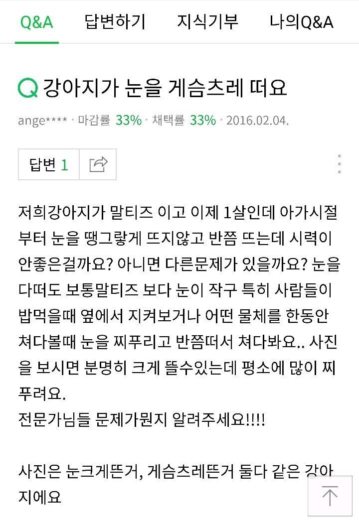 강아지가 눈을 게슴츠레 떠요.jpg | 인스티즈