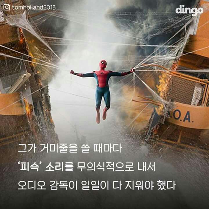 스파이더맨 촬영팀중 제일 극한직업 | 인스티즈