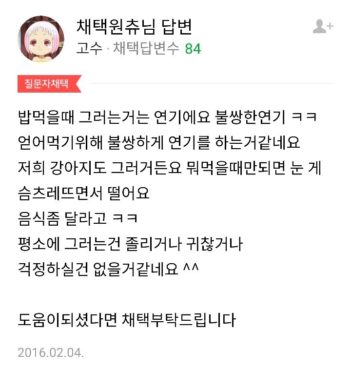 강아지가 눈을 게슴츠레 떠요.jpg | 인스티즈