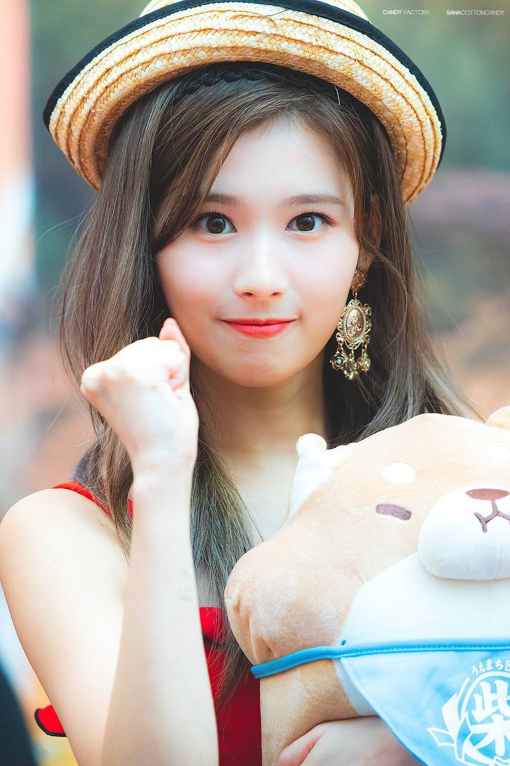 사나 안고 있는 시바견 | 인스티즈