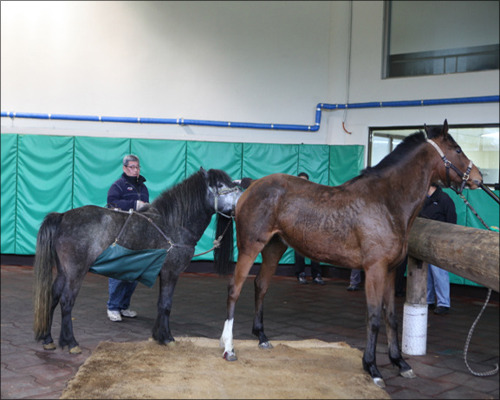 흔한 동아리 신청서.jpg | 인스티즈