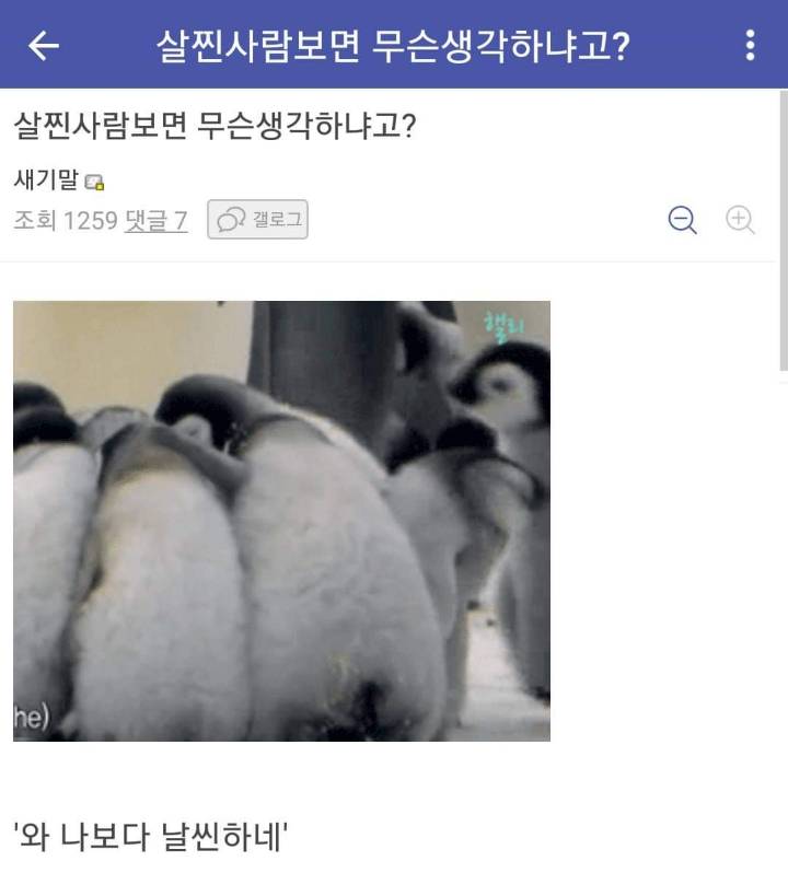 미쳐가는 다이어트 갤러리 | 인스티즈