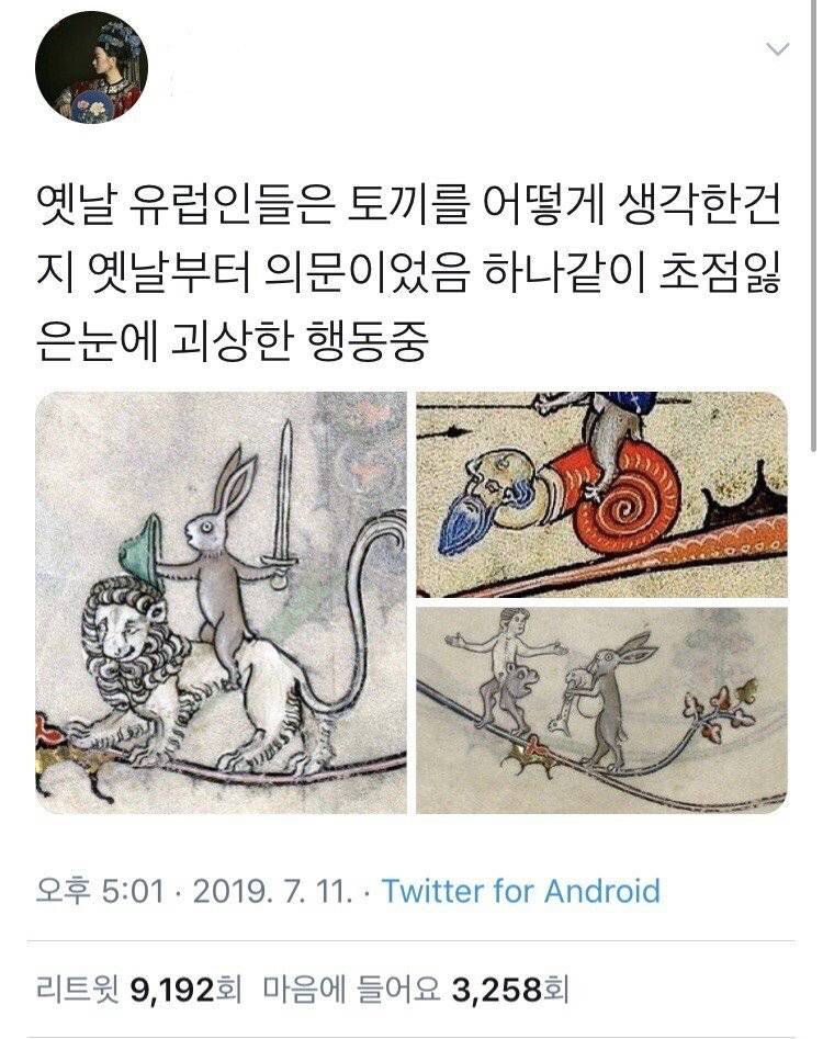 옛날 유럽사람들이 토끼를 괴상하게 그린 이유.jpg | 인스티즈