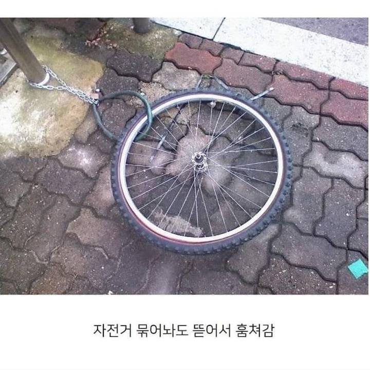 알다가도 모르겠는 한국인들.jpg | 인스티즈