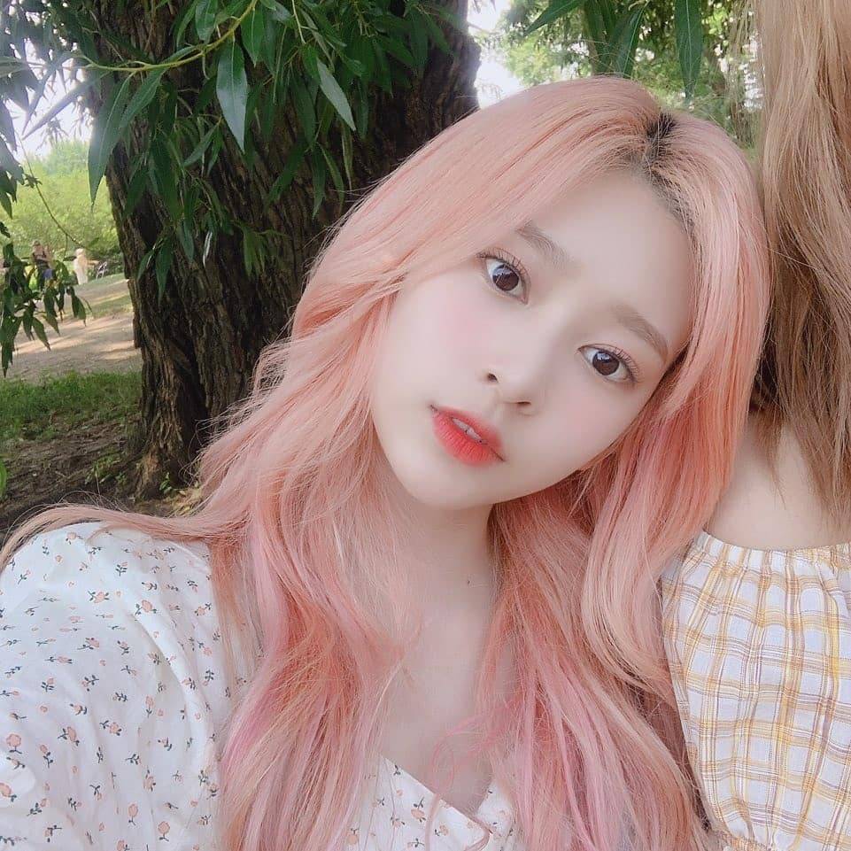 흑화한 아이즈원 두명 | 인스티즈