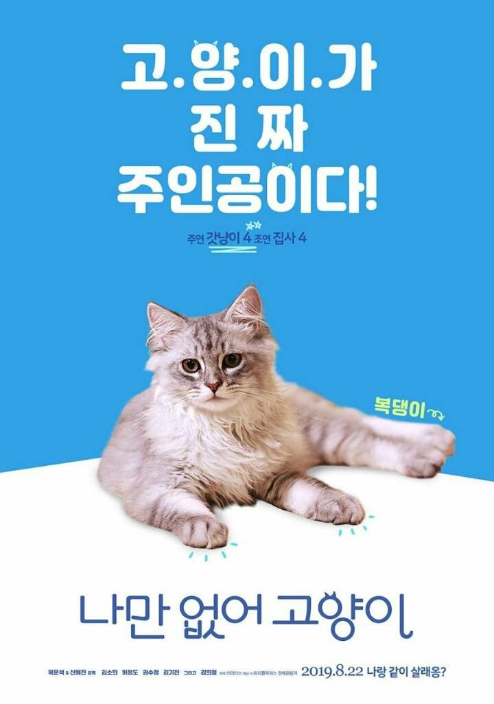 8월22일 개봉작 영화 나만 없어 고양이 예고편, 포스터, 스틸컷 | 인스티즈