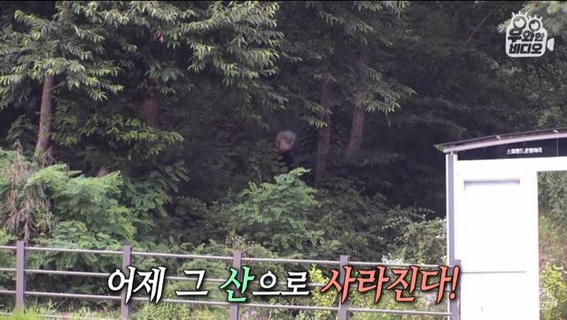 6년간 떡볶이 먹고 계산 안하고 가는 남자 | 인스티즈