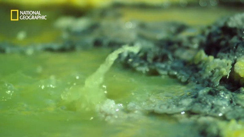 댈롤 화산: 지옥과 같은 이곳에 사는 단 하나의 생명체 | 인스티즈