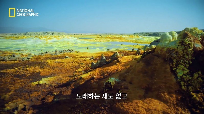 댈롤 화산: 지옥과 같은 이곳에 사는 단 하나의 생명체 | 인스티즈