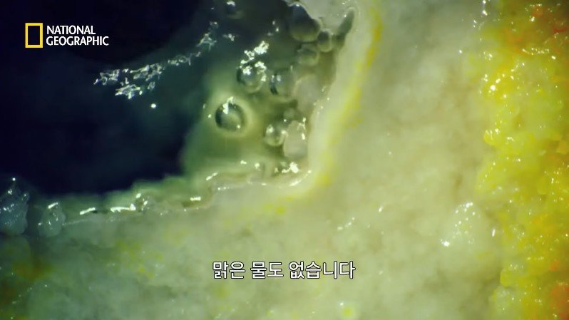 댈롤 화산: 지옥과 같은 이곳에 사는 단 하나의 생명체 | 인스티즈