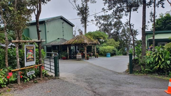 사촌누나 결혼식 참가하러 가서 찍은 하와이 사진 | 인스티즈