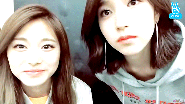 뽀뽀하고 도망가는 펭귄 🐧 잡아랏!! | 인스티즈