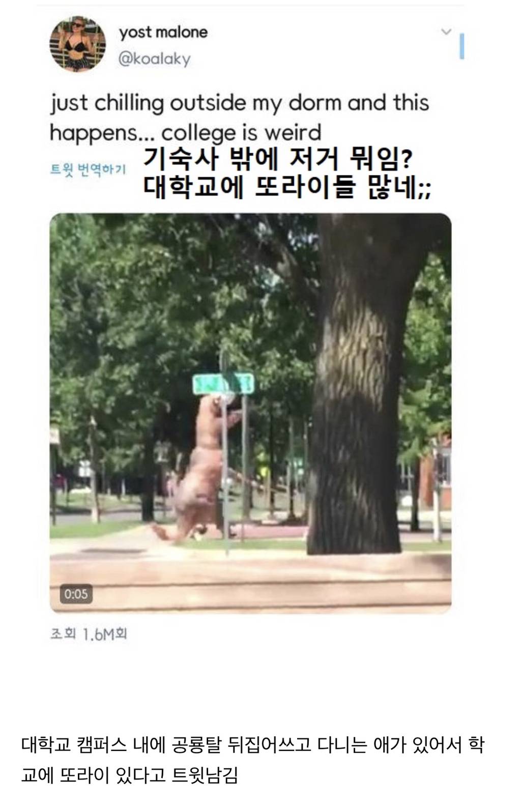 3년전에 대학교에 이상한놈 있다고 트윗했는데 | 인스티즈