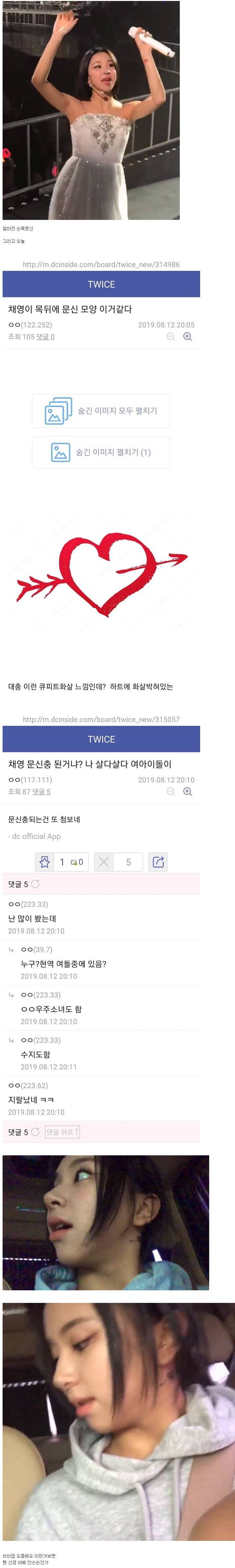 트와이스 채영이 타투한게 불편한 자칭팬 | 인스티즈